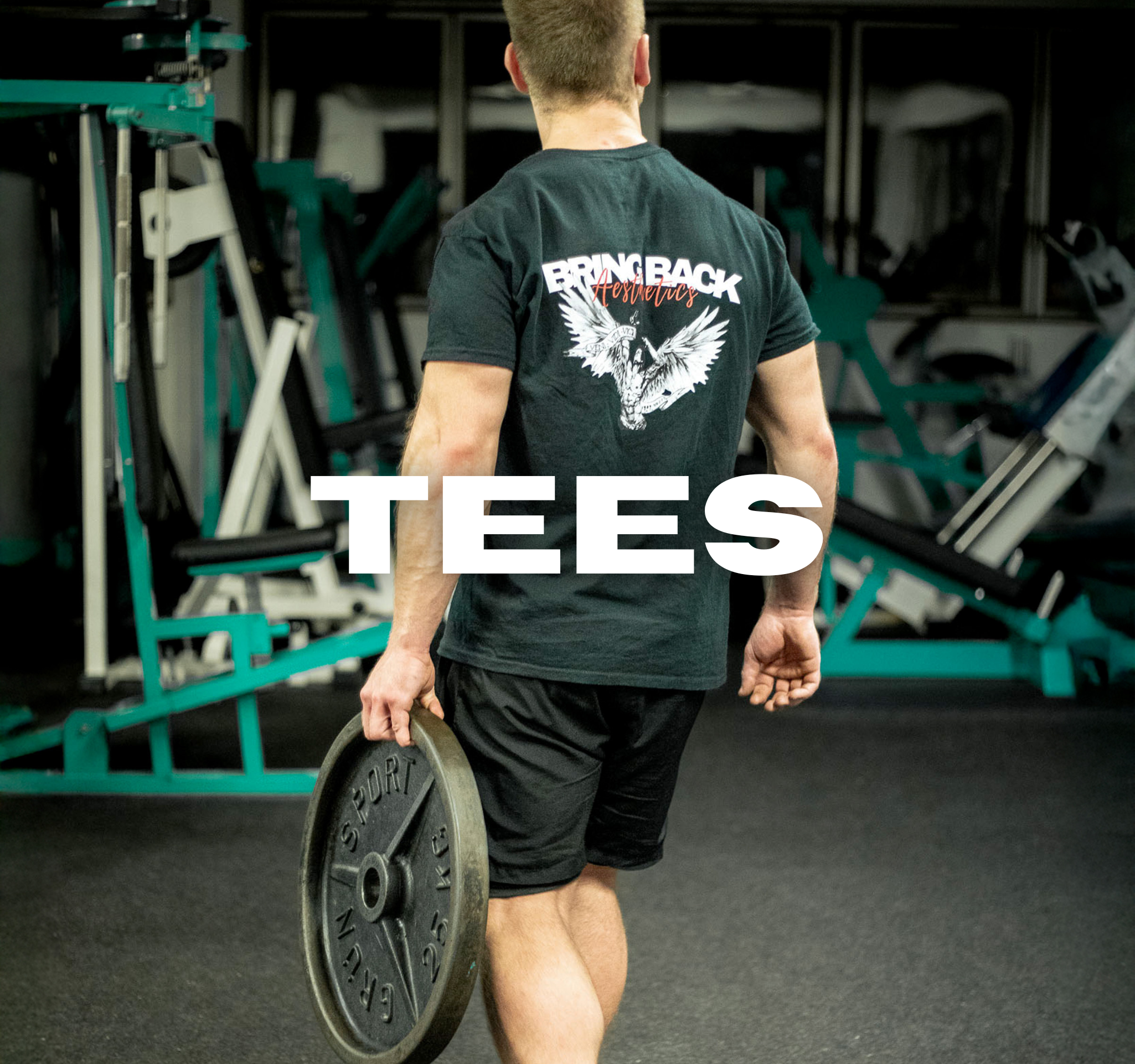 Gym t-shirts collection with premium bodybuilding tees for lifters