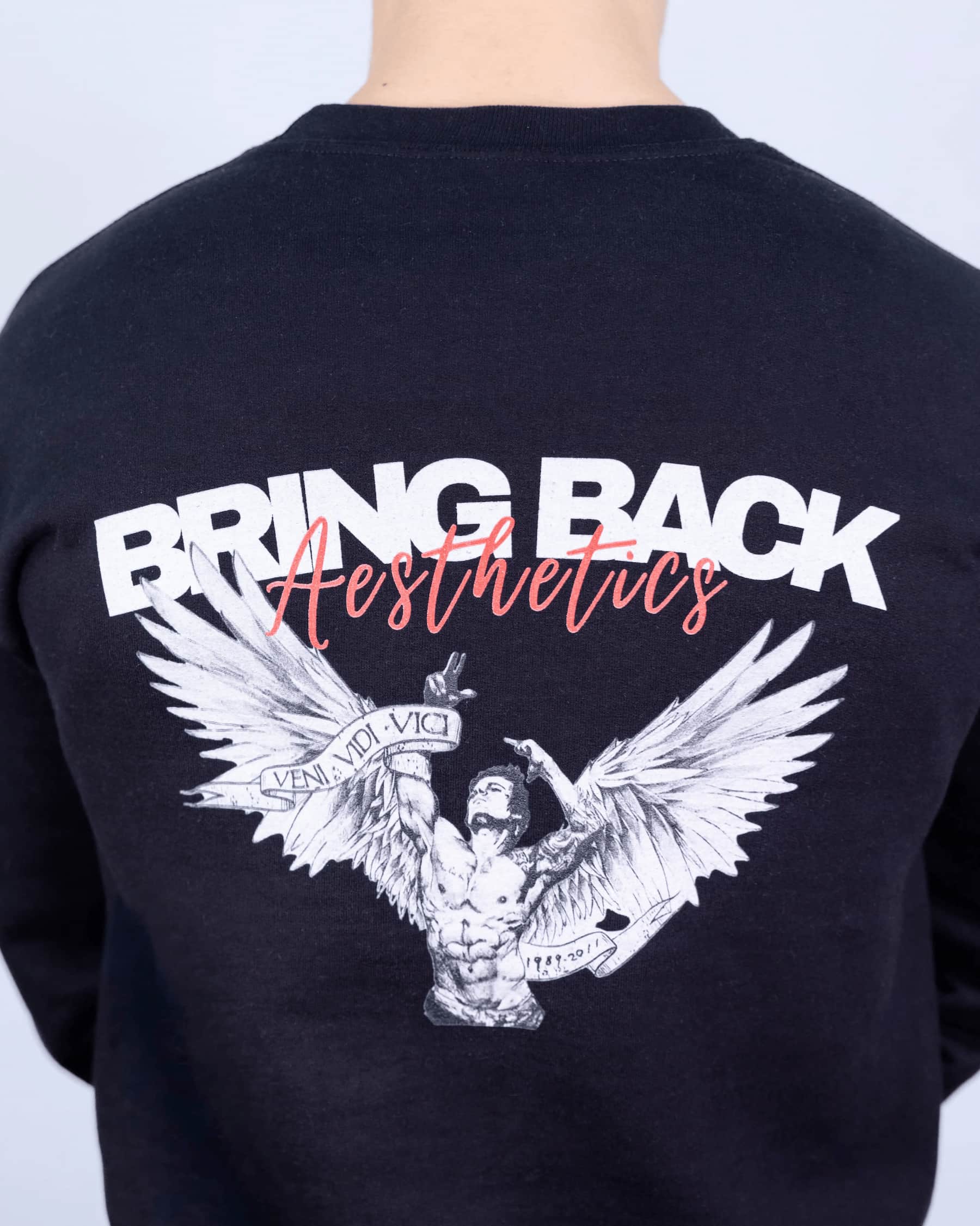 Black sweatshirt with 'Bring Back Aesthetics' design on the back